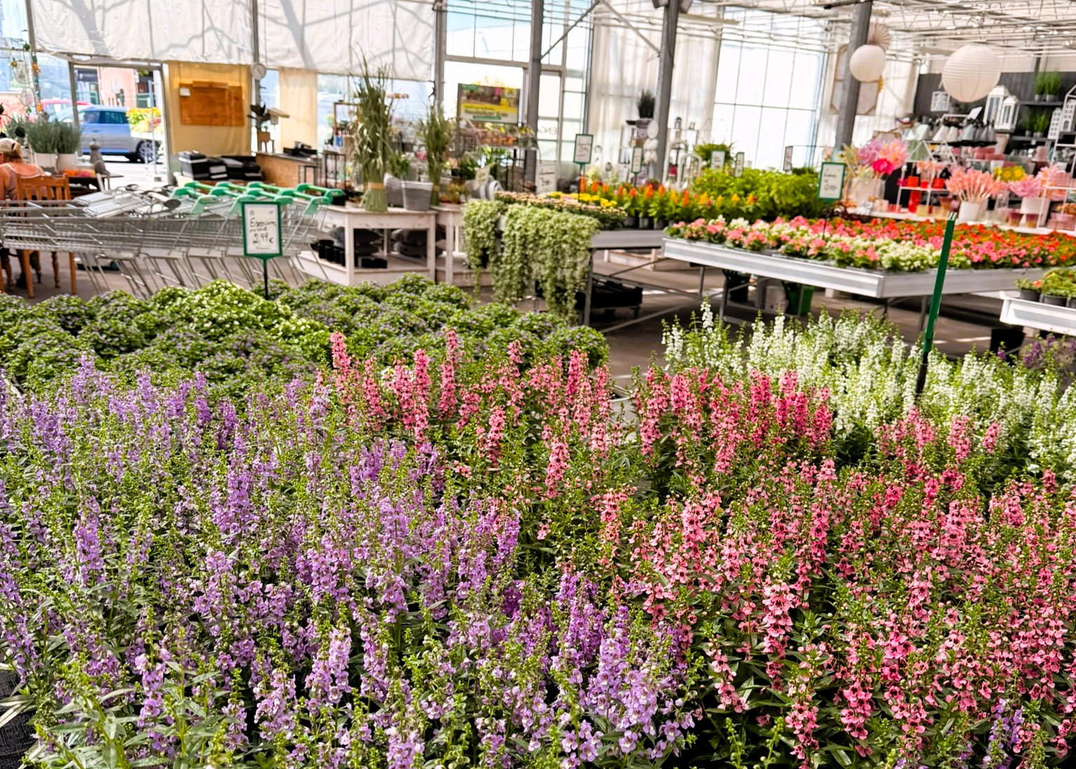Monheimer Blumenmarkt